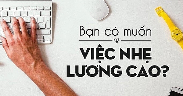 Xin việc làm ngân hàng trên mạng, bị lừa hơn 900 triệu đồng