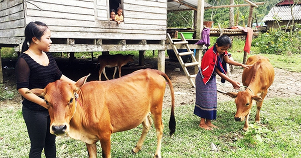 ‘Đòn bẩy’ giúp đồng bào dân tộc thiểu số ở Quảng Bình thoát nghèo