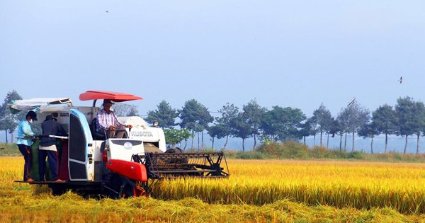 Tăng mức hỗ trợ lên 1,5 triệu đồng/ha/năm đối với đất chuyên trồng lúa