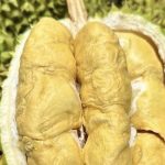 Sau sầu riêng, loại trái cây nào sẽ đạt tỉ USD?