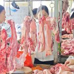 Giá heo hơi hôm nay 11.12.2025: Quay lại đỉnh