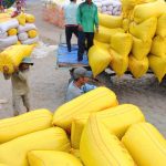 Sắp mở cửa trở lại, năm 2026 Philippines sẽ nhập khẩu bao nhiêu gạo?