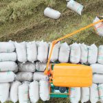 Việt Nam tăng nhập khẩu gạo, dù xuất khẩu giảm sâu