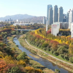 Câu chuyện hồi sinh sông suối ở Hàn Quốc