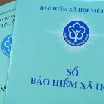 Gần 18.000 doanh nghiệp TP Hồ Chí Minh đang nợ BHXH của người lao động