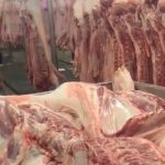 Giá heo hơi hôm nay 10.12.2025: Tạm ngừng đà tăng