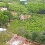 Muốn sản xuất lớn phải tích tụ đất đai