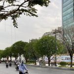 Thành phố Hồ Chí Minh phát triển 5 huyện thành đô thị