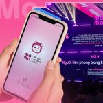 Hơn 90% startup Việt “gục ngã” trước 3 tuổi, vì sao MoMo vẫn đứng vững sau 15 năm?