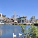 BSR chủ động vượt “bão” năm 2026