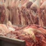 Giá heo hơi hôm nay 12.1.2026: Chạm ngưỡng 75.000 đồng/kg