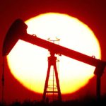 Phục hồi, tuần tăng 4%