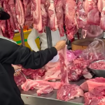 Giá heo hơi hôm nay 4.2.2026: Tiếp tục giảm nhanh