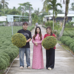 Đơn hàng cây cảnh hoa tết tăng gấp 5 lần trên sàn thương mại điện tử