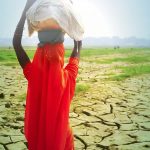 Nắng nóng cực độ ảnh hưởng đến 1/3 dân số toàn cầu