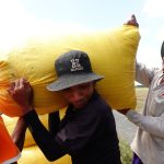 Khách hàng lớn nhất của hạt gạo Việt Nam tăng nhập khẩu