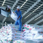 Giá phân bón tăng mạnh do ảnh hưởng của chiến sự Trung Đông