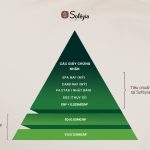 Soféyia – Thương hiệu nội thất tùy chỉnh tái định vị tầm nhìn thương hiệu