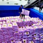 Sầu riêng, cà phê, hồ tiêu trúng giá giúp phân bón hưởng lợi lớn