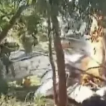 Rơi máy bay chở đầy tiền mặt giữa biên giới 3 nước, nổ ra hàng loạt vụ cướp