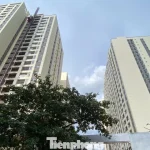 Chủ đầu tư nhà ở xã hội được miễn giấy phép xây dựng