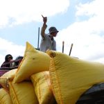 Bất ngờ gạo xuất siêu tăng mạnh nhất