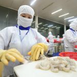 Kẹt đường Trung Đông, tôm cá ùn ùn ‘bơi’ qua Trung Quốc