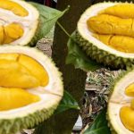 Tin vui với sầu riêng Việt Nam