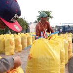 Giá gạo Việt Nam tăng mạnh, Philippines lại tìm cách hạn chế nhập