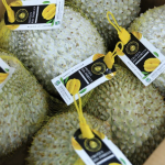 Xuất khẩu sầu riêng vào Hàn Quốc vượt Trung Quốc