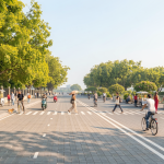 Hà Nội phê duyệt dự án hơn 30 nghìn tỷ đồng cải tạo Hồ Tây và tuyến đường cảnh quan ven hồ