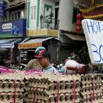 Giá trứng siêu rẻ 1.000 đồng/quả đã lan tới cổng trang trại, người chăn nuôi lỗ nặng