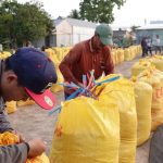 Vì sao Philippines gia tăng nhập khẩu gạo Việt Nam?