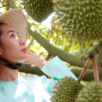 Ấn Độ sẽ là ‘mỏ vàng’ mới của sầu riêng Việt Nam?