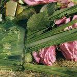 WILD VETIVER – HÀNH TRÌNH KHÁM PHÁ CỎ HƯƠNG BÀI DƯỚI GÓC NHÌN CỦA CREED