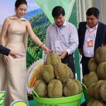 Đấu giá sầu riêng đầu tiên thu về gần 24 tỉ đồng cho nông dân