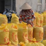 Gạo Việt Nam ứng phó với chiêu trò ‘làm giá’ của nhà nhập khẩu thế nào?