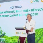 Bầu Đức trồng 20.000 ha cà phê trên cao nguyên cao 1.350 m, quanh năm mát mẻ, chuyên gia dự báo thu hoạch “khủng” 7,2 kg quả/cây