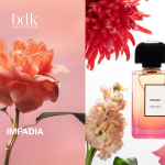 Impadia – Hình Ảnh Paris Dưới Góc Nhìn Nghệ Thuật