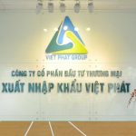 Cổ phiếu VPG của Xuất nhập khẩu Việt Phát vào diện kiểm soát