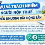 Các khoản thuế, lệ phí phát sinh khi chuyển nhượng bất động sản