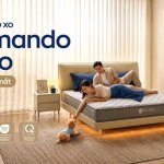 Thiết kế phòng ngủ cho gia đình có trẻ nhỏ cần lưu ý gì? – Tạp chí Kiến trúc Việt Nam