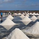 Cuộc thi “Tự hào hàng Việt”: Tự hào muối hồng Bạc Liêu